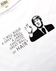 Trump's Great Wall of Hair